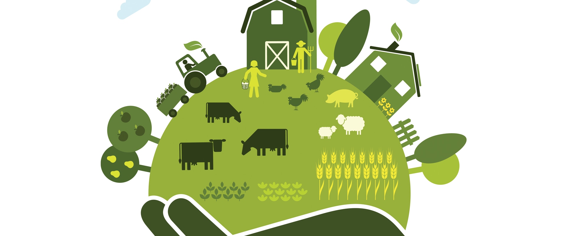 The Impact of Sustainable Farm Systems on Food Quality