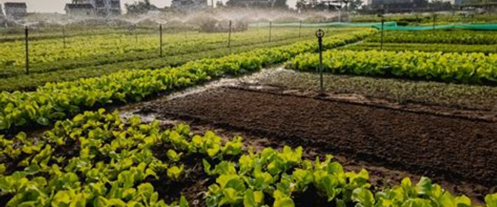 The Role of Sustainable Farm Systems in Enhancing Rural Development and Job Creation