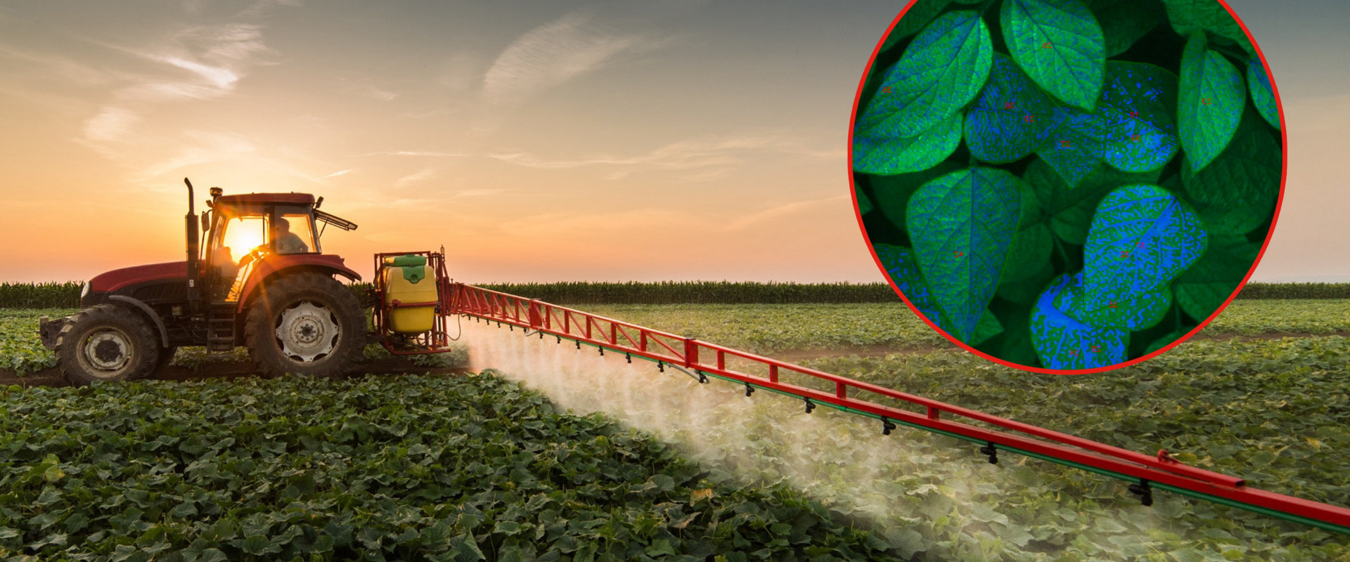 The Role of Sustainable Farm Systems in Minimizing Pesticide and Fertilizer Use