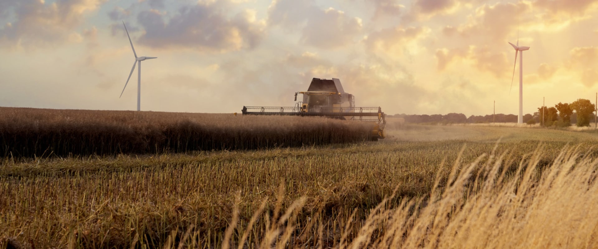 Exploring the Effects of Monoculture on Sustainable Farming Practices