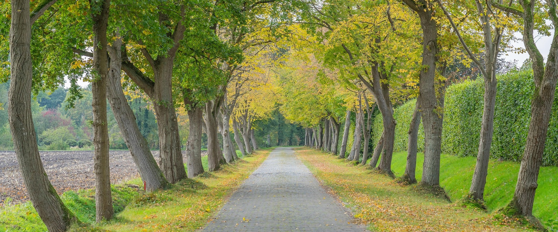 Sustainable Farm Systems and Tree Services in Damascus, OR