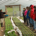 The Impact of Education and Training on Sustainable Farm Systems