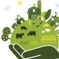 The Impact of Sustainable Farm Systems on Food Quality