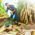 Exploring the Role of Sustainable Farm Systems in Mitigating Food Waste and Insecurity