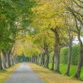 Sustainable Farm Systems and Tree Services in Damascus, OR