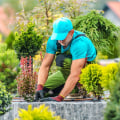 Sustainable Landscaping: Eco-Friendly Solutions in Portland