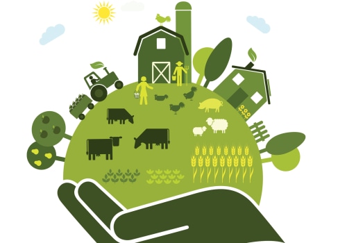 The Impact of Sustainable Farm Systems on Food Quality