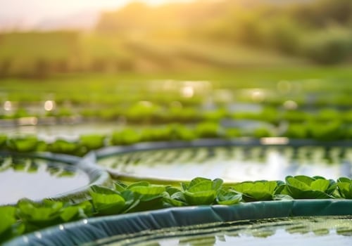 Conserving Water Resources Through Sustainable Farm Systems