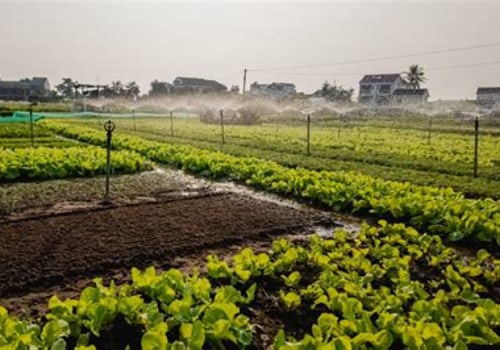 The Role of Sustainable Farm Systems in Enhancing Rural Development and Job Creation