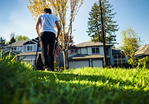 Sustainable Farm Systems: The Role of Expert Tree Care