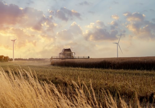 Exploring the Effects of Monoculture on Sustainable Farming Practices