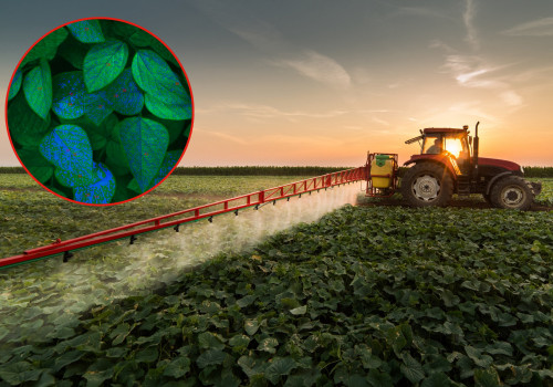 Understanding the Distinctions Between Organic and Sustainable Farming Practices